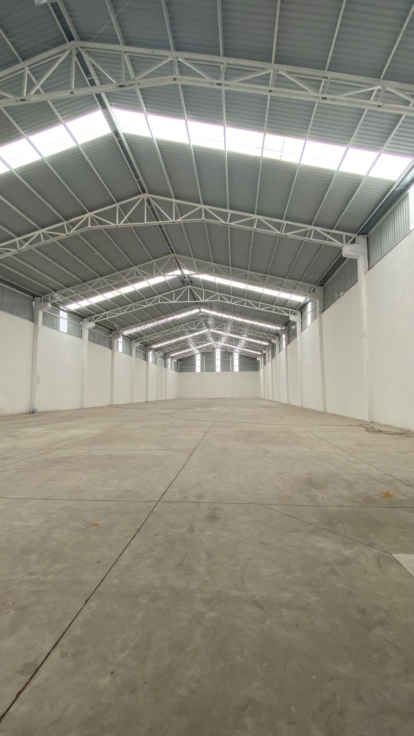 Bodega - 1,600 m²